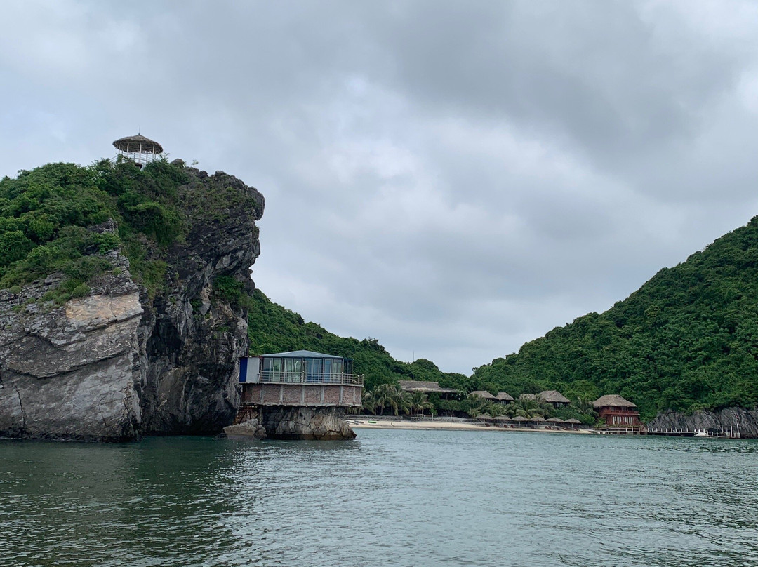 猴子岛度假村主图