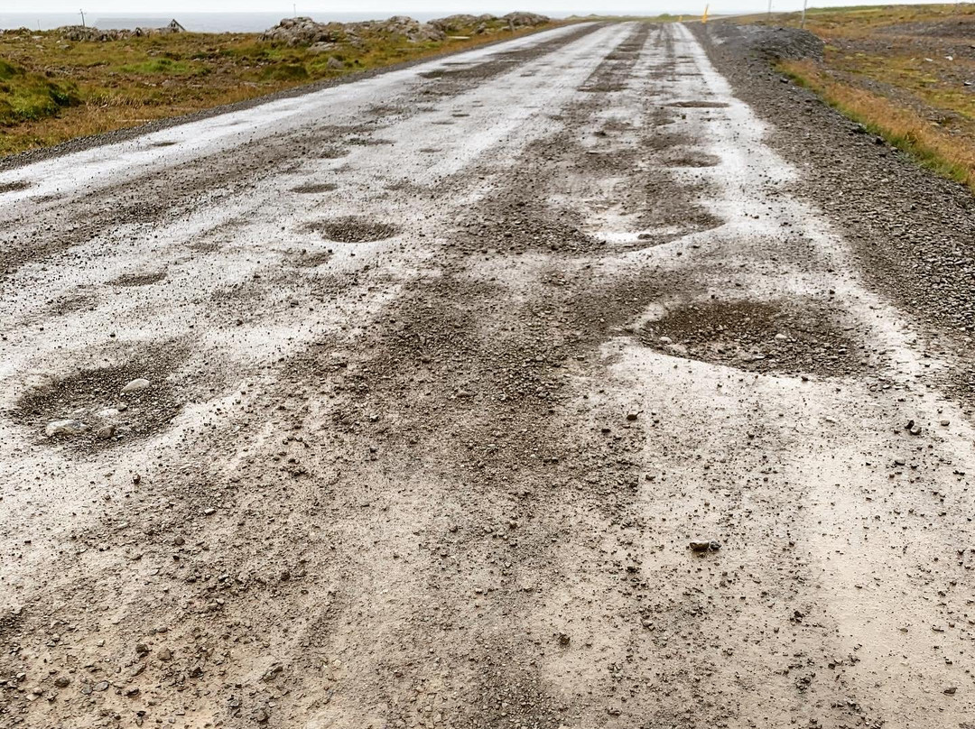 Illugastaðir Farm景点图片