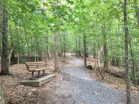 Settles Bridge Park-苏万尼必去景点