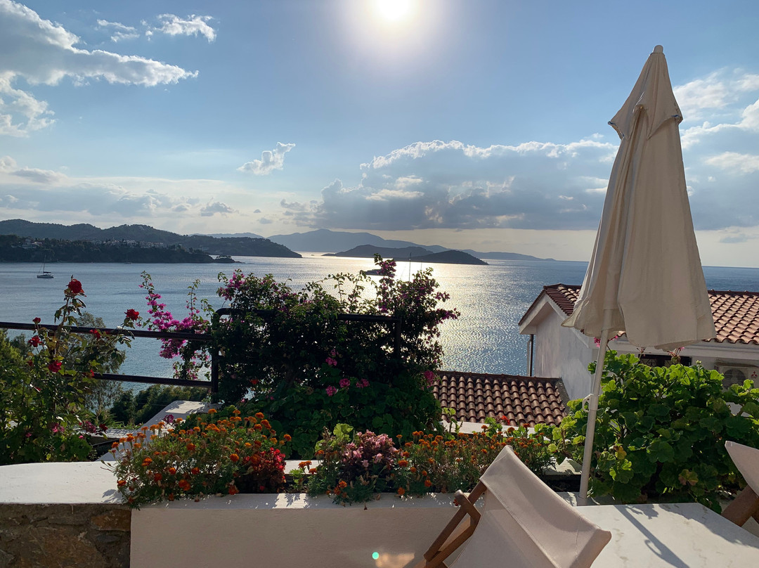 Hotel Villa Alexis主图