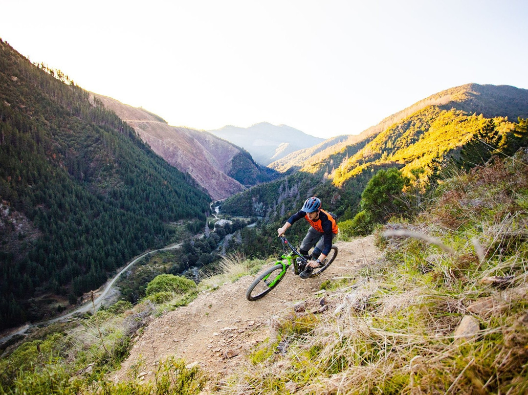 The Gorge Mountain Bike Park景点图片