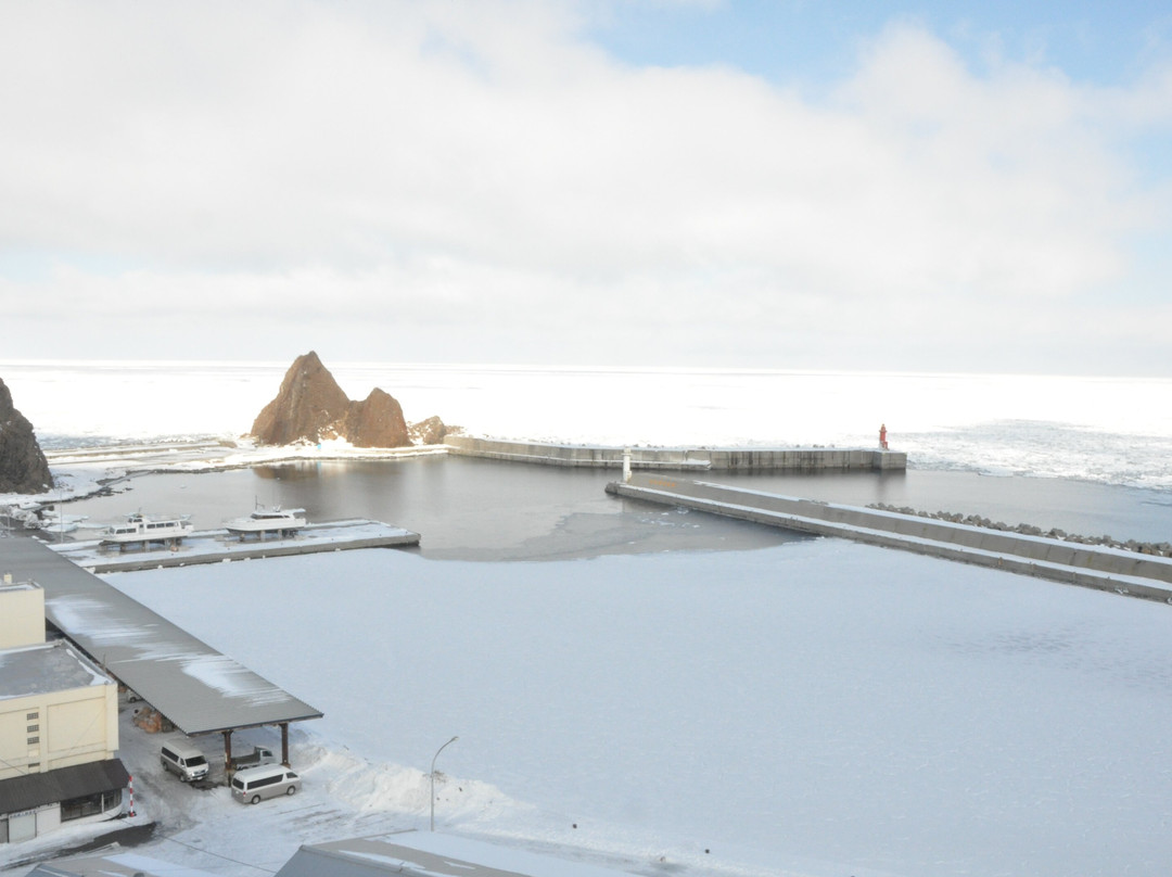 知床大酒店主图