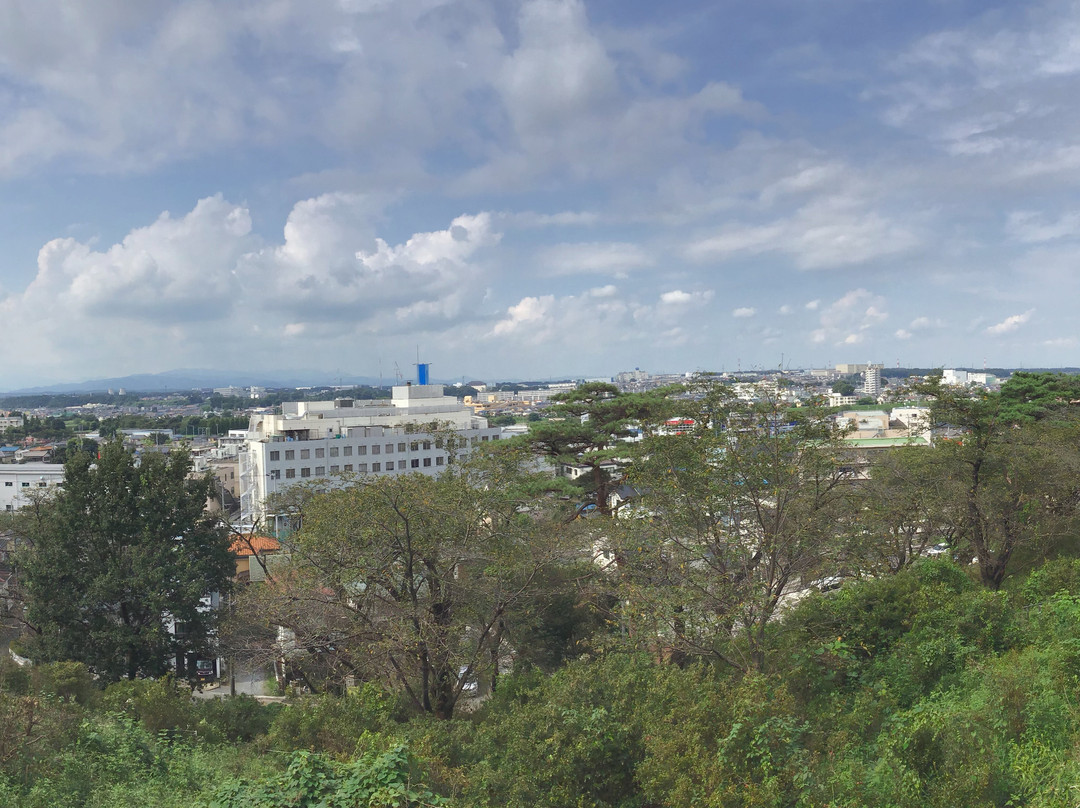 Sayama Inariyama Park-狭山市必去景点