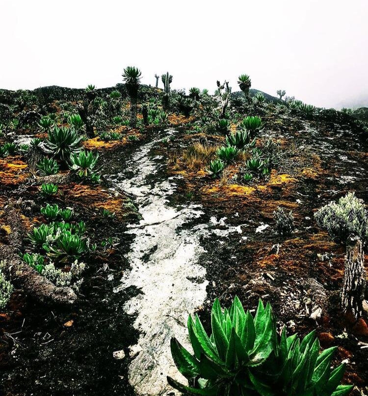 Rwenzori Mountains-Kasese必去景点