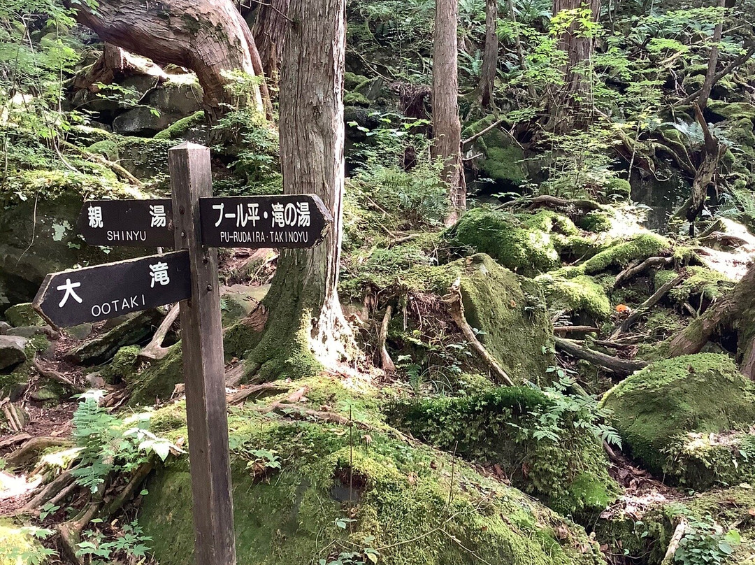 Tateshina Otaki Fall-茅野市必去景点
