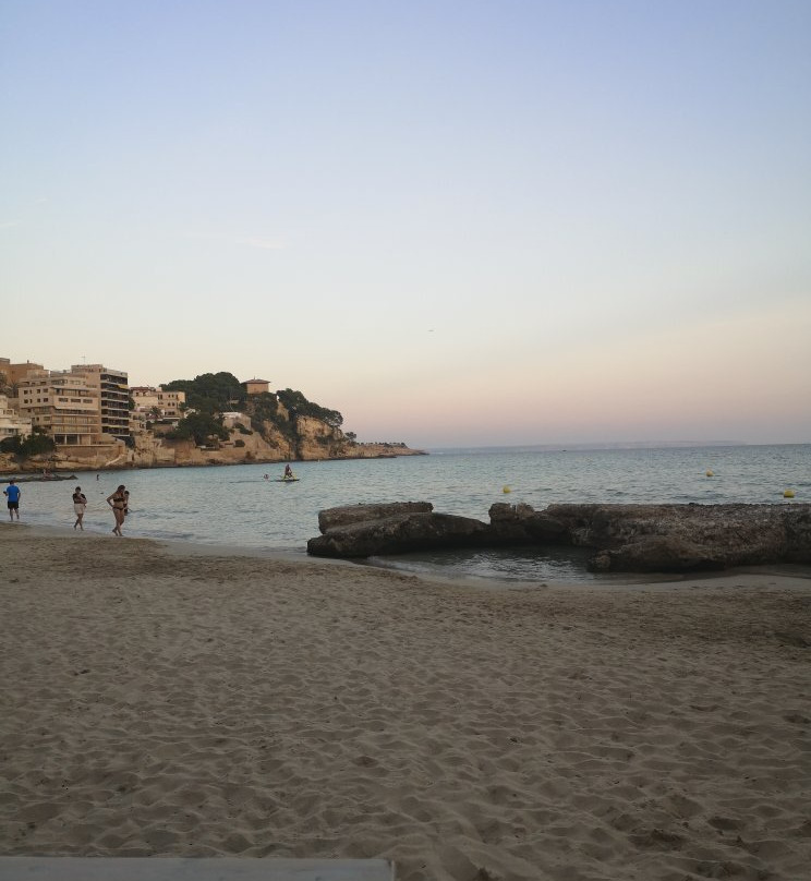 Playa de Cala Mayor景点图片