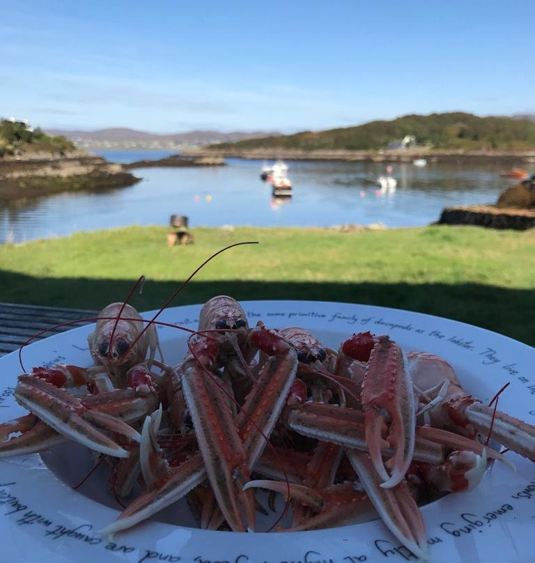 Tasting Scotland景点图片