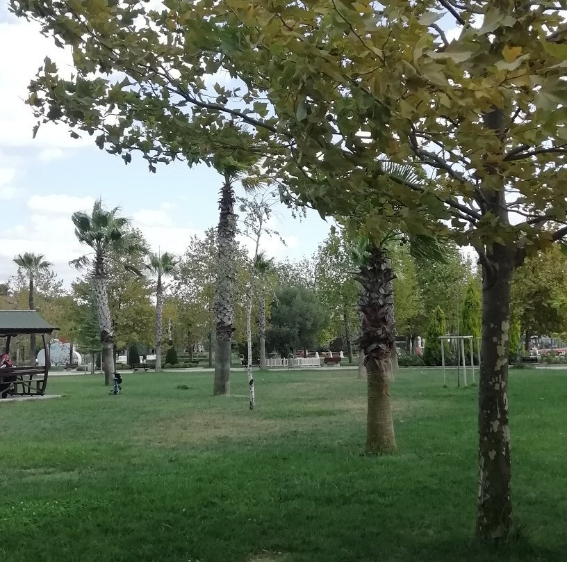 Tuzla Belediyesi Selale Egitim Parki景点图片