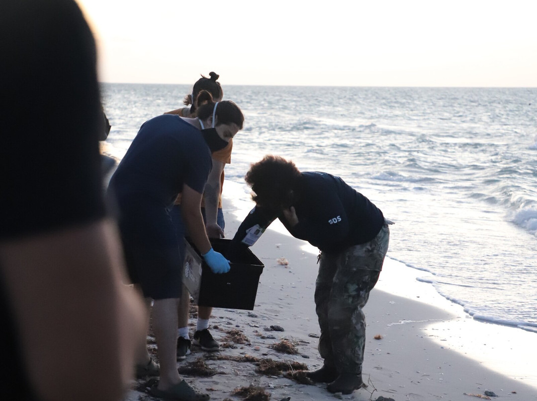 Hotel Reef Yucatán - All Inclusive & Convention Center主图