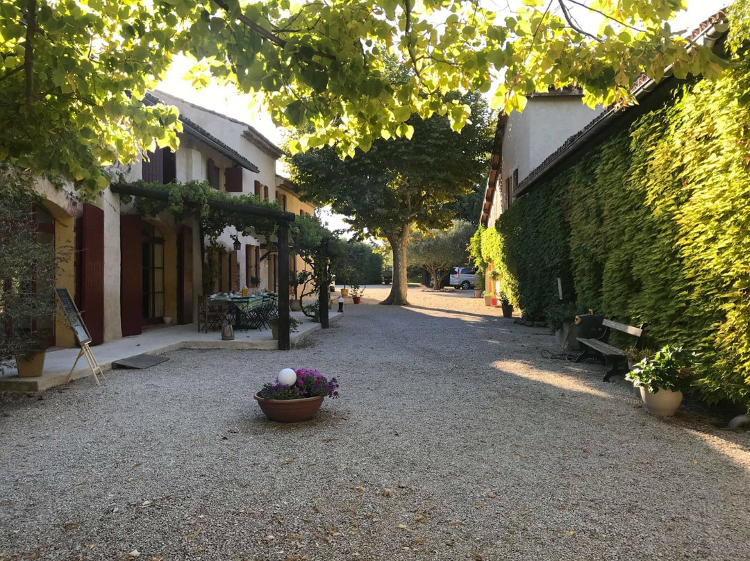 Domaine du Grand Lauron主图