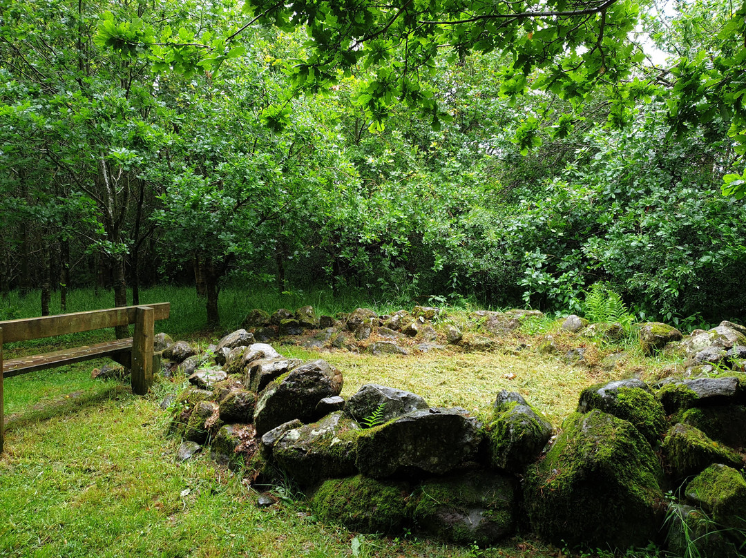 Clements' Wood景点图片