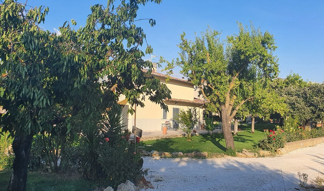 Hotel Poggio Bertino主图