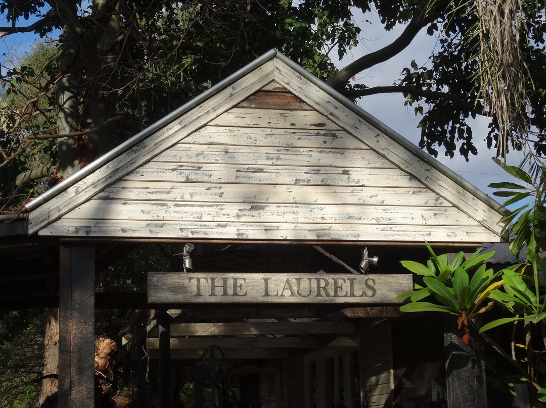 Laurels of Chinchilla主图