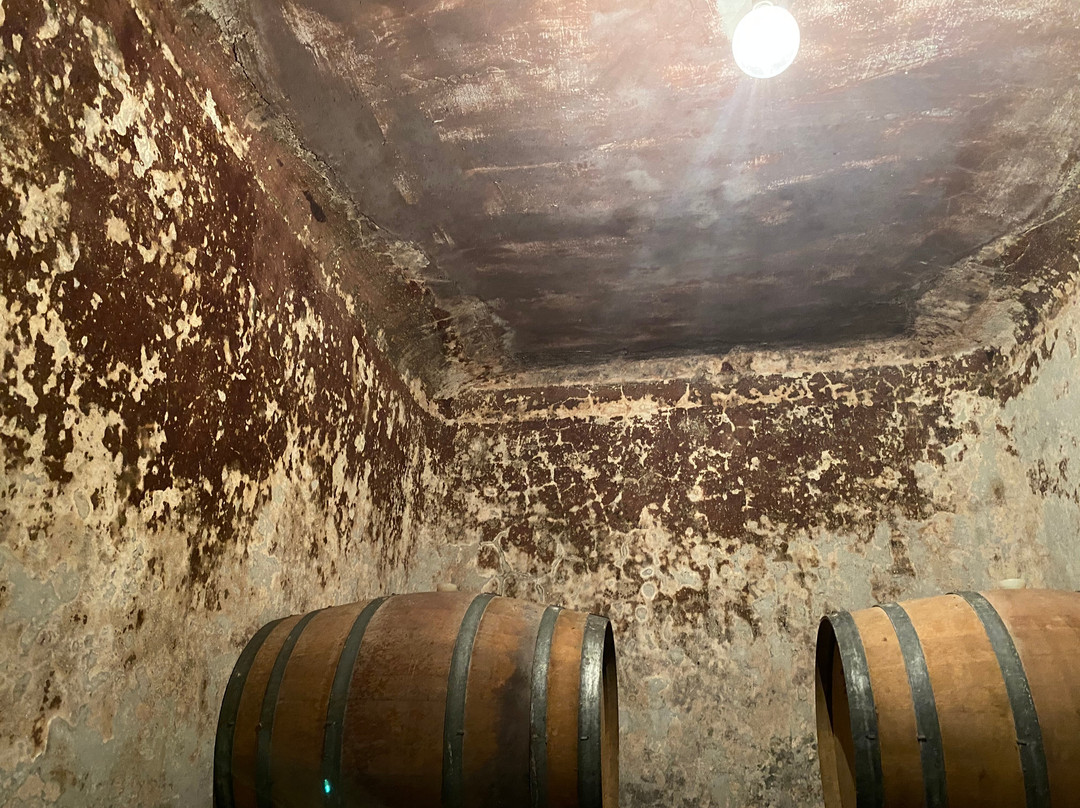 Cantina San Donaci-San Donaci必去景点