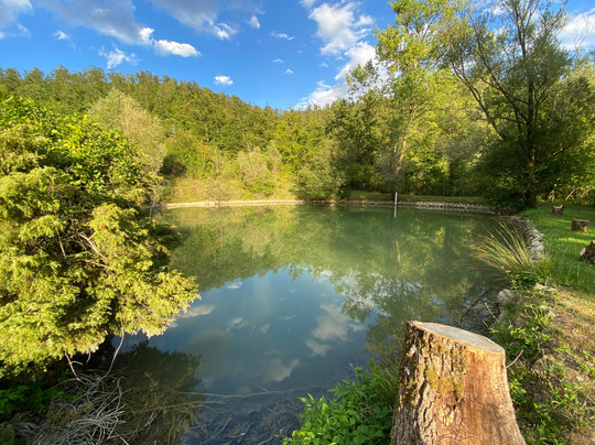 Cannabis Clinic & Restaurant主图