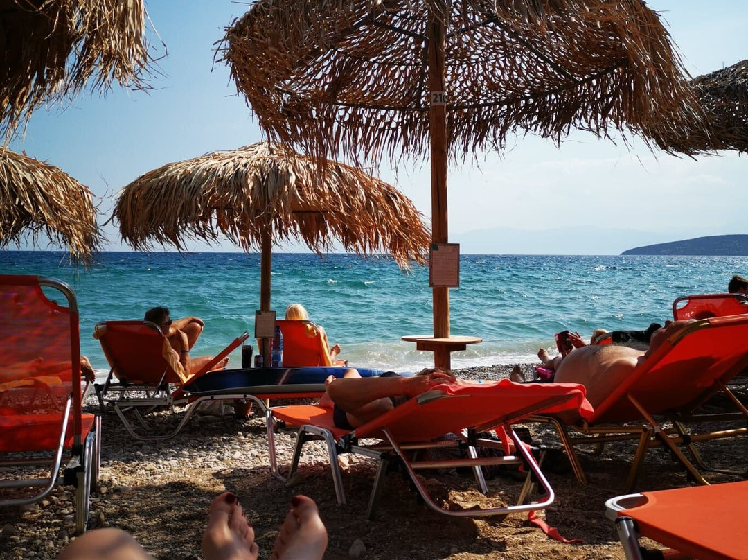 The Grove Seaside Hotel主图