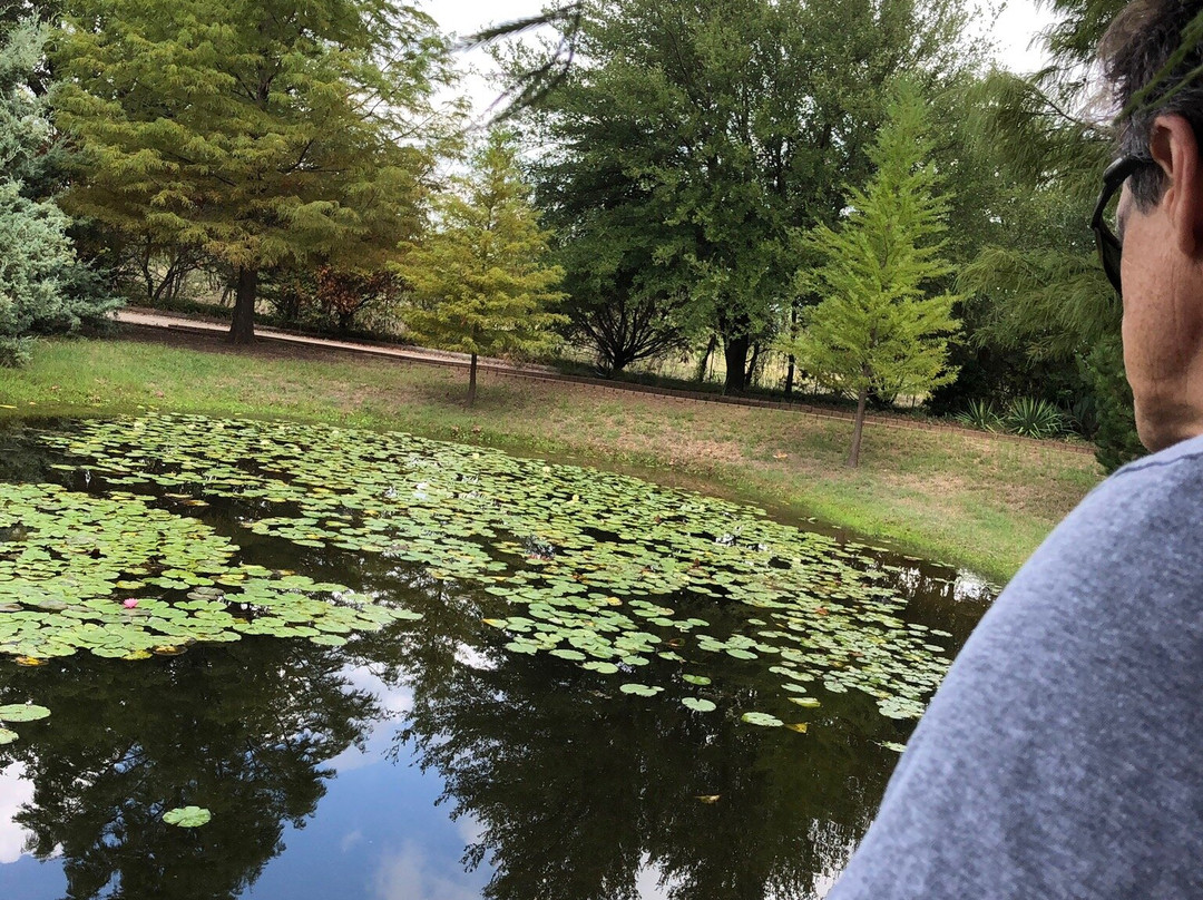 Clark Gardens Botanical Park景点图片