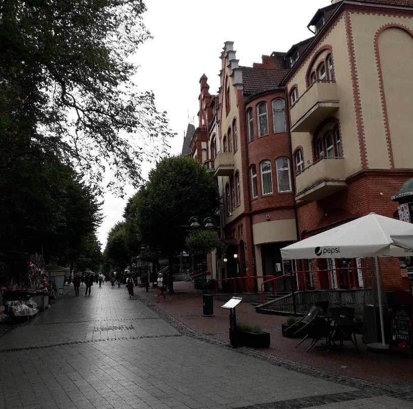 Bohaterów Monte Cassino-索波特必去景点