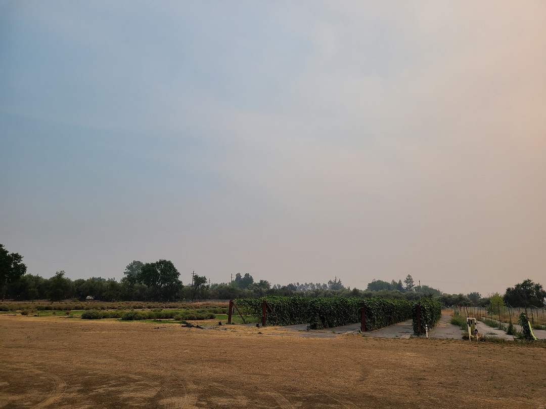 MoonBeam Farm-Corning必去景点