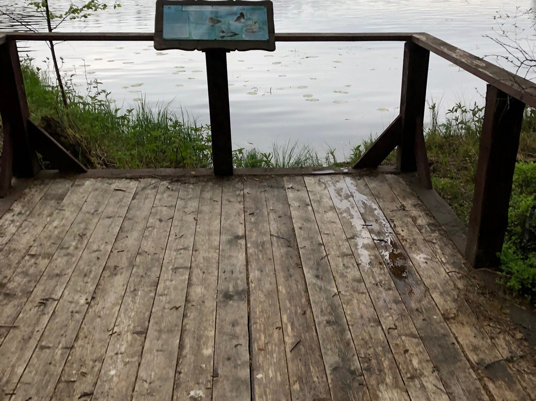 National Park Valdaiskiy主图