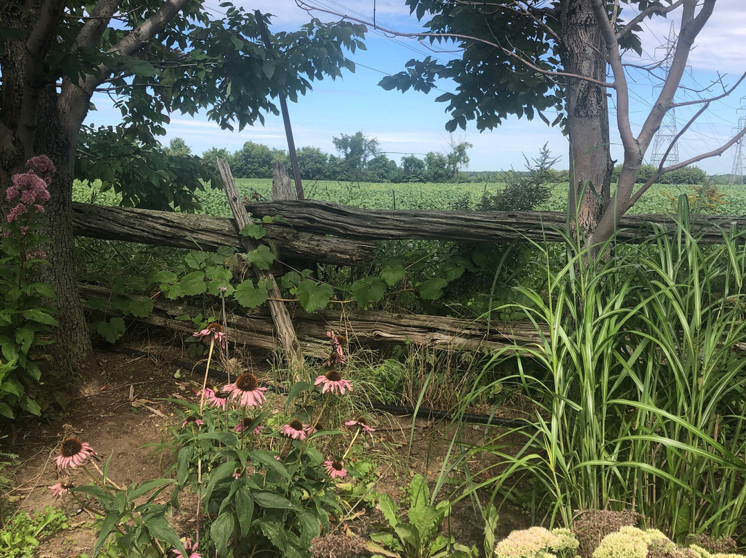 Jardins Michel Corbeil-Saint-Eustache必去景点