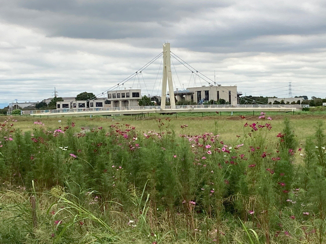 Kenei Gongendo Kouen-久喜市必去景点