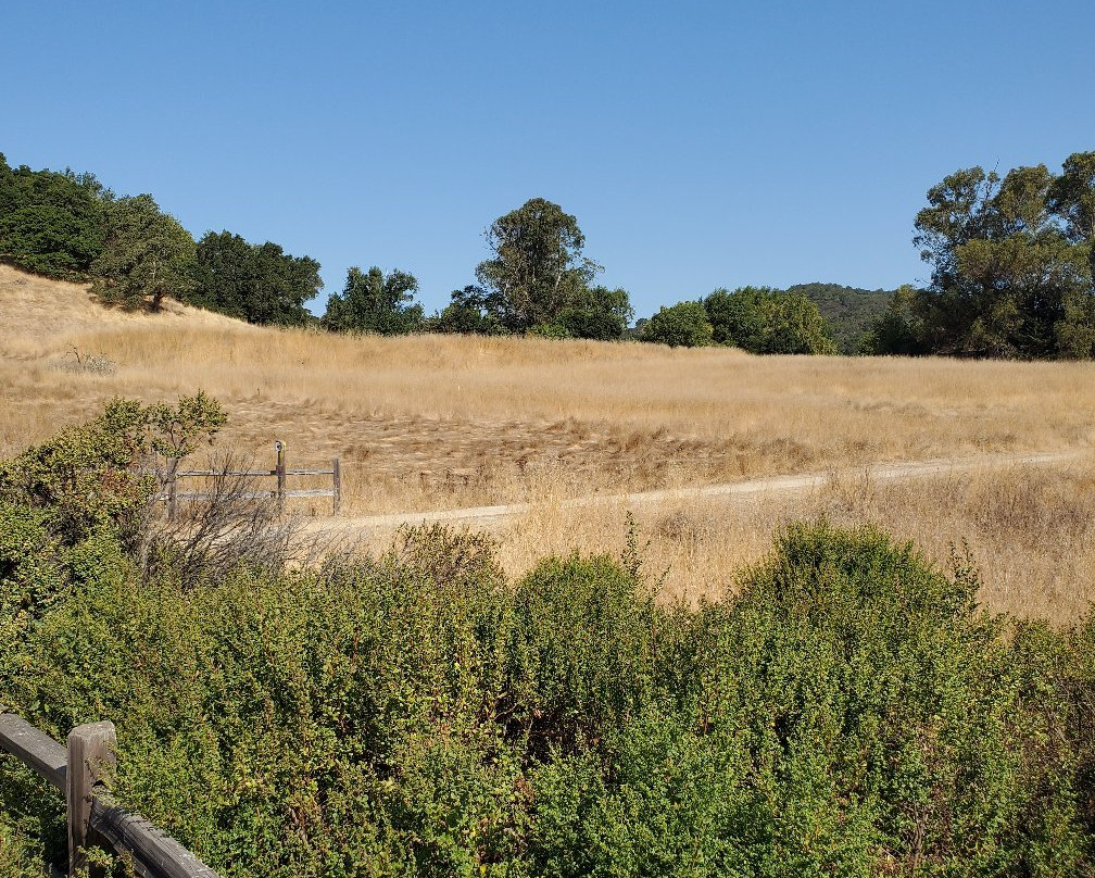 Olompali State Historic Park景点图片