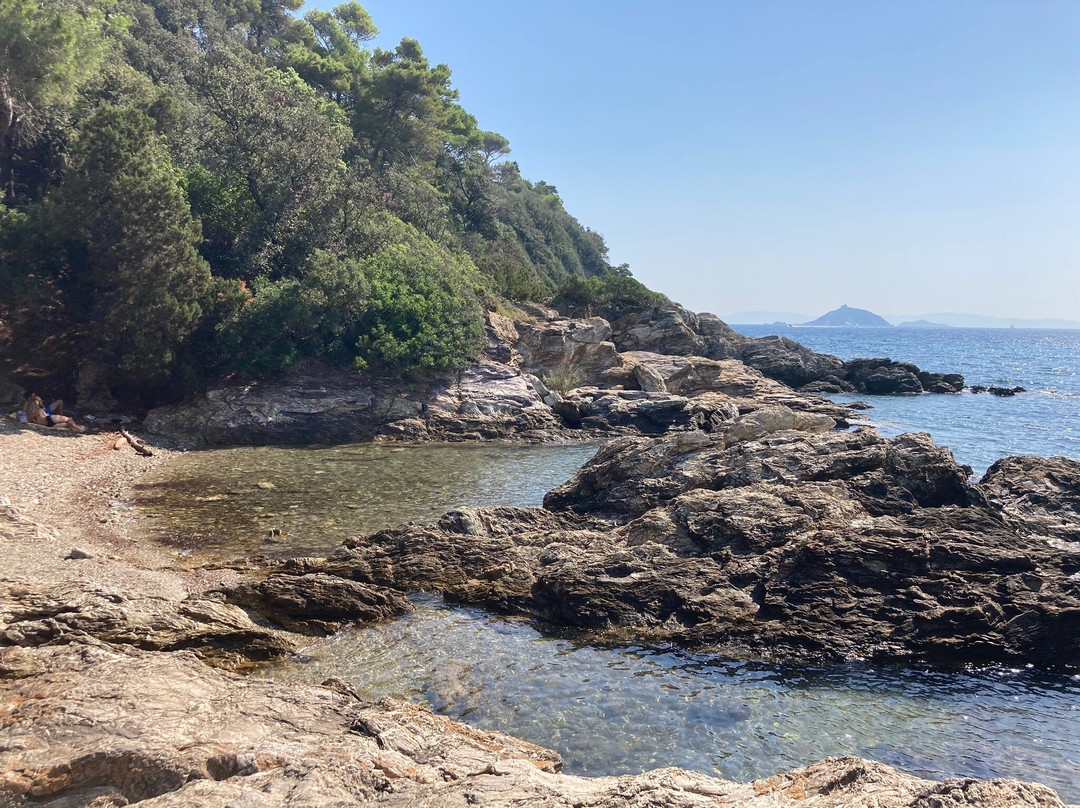 Cala delle Alghe景点图片
