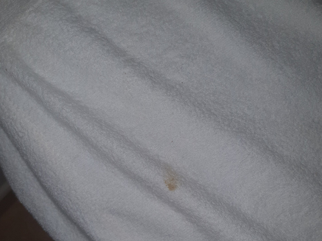 阿斯科纳酒店主图