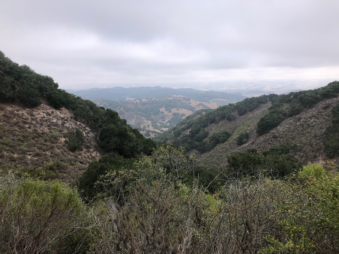 Pismo Preserve-庇斯摩海滩必去景点