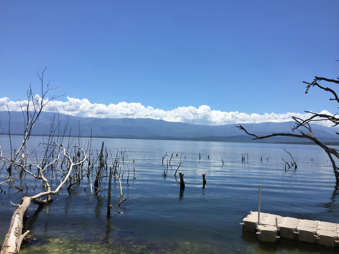 Lake Enriquillo (Lago Enriquillo)-多米尼加共和国必去景点