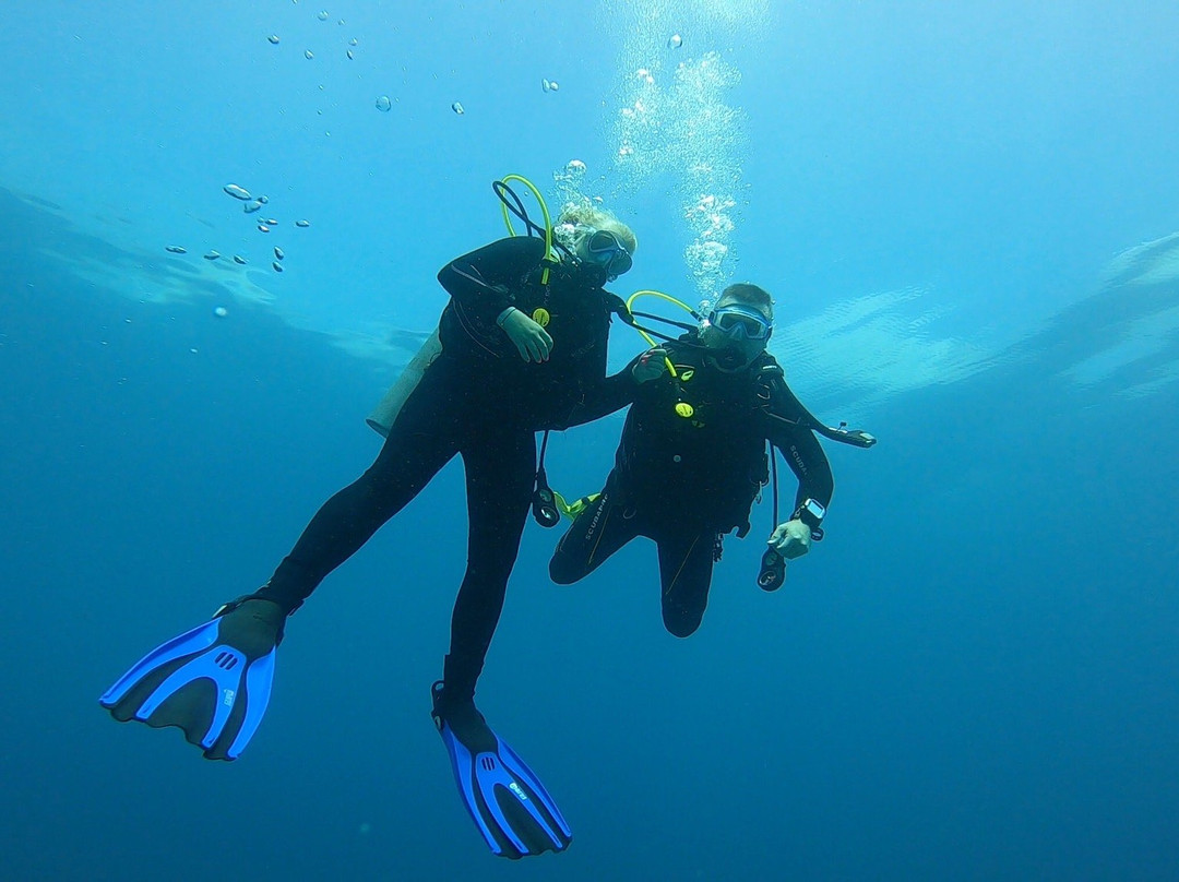 Wet Set Diving Adventures-从莫雷洛斯港必去景点
