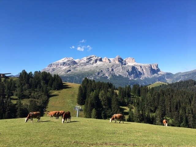 Piz la Ila景点图片
