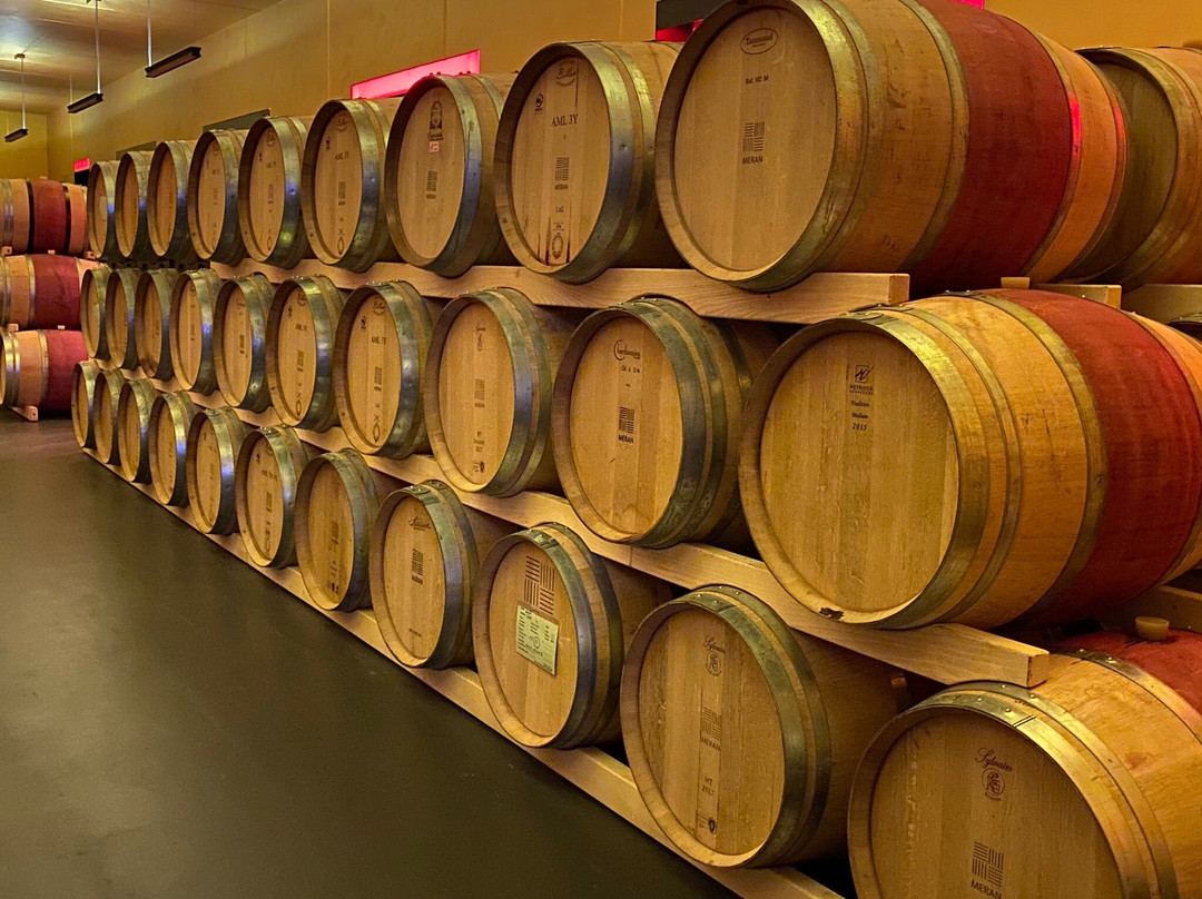 Cantina Merano Burggräfler景点图片