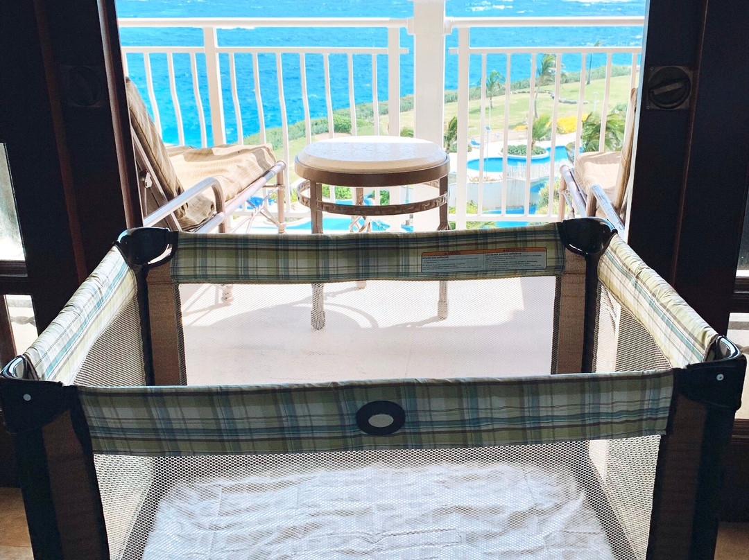 Little Travel Bugz-布里奇顿必去景点