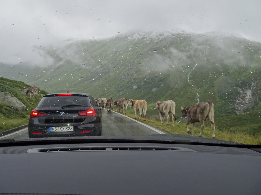 Silvretta-Hochalpenstrasse景点图片