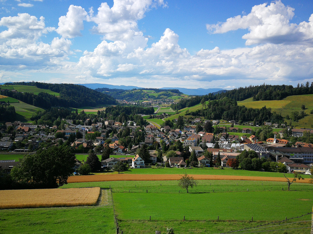 Fiechtehüsli