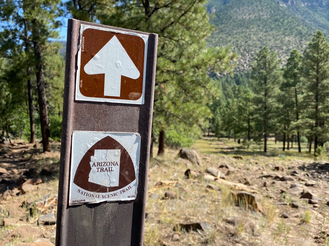 Buffalo Park-弗拉格斯塔夫必去景点