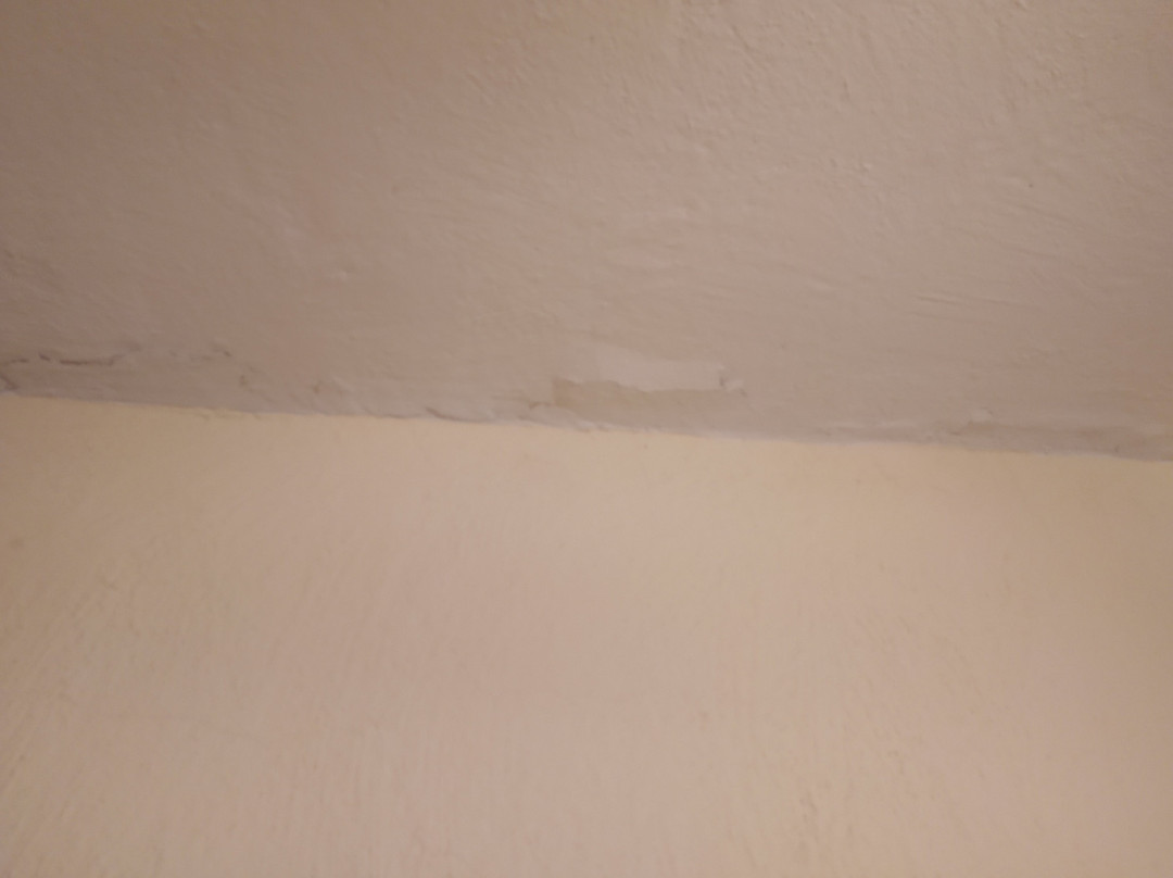 Casa Rural La Marotera主图