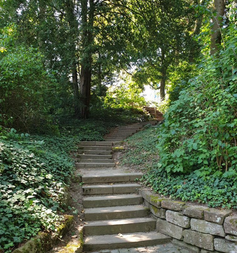 Exotenwald Weinheim-魏因海姆必去景点
