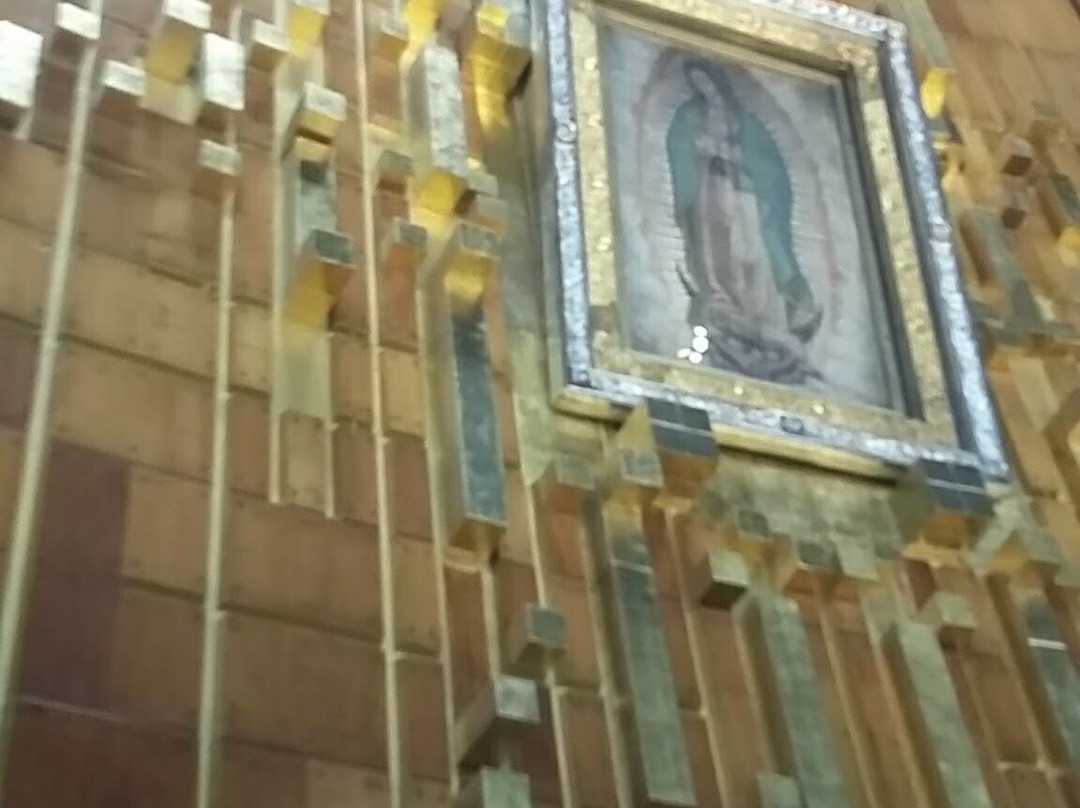 Basilica De Guadalupe景点图片