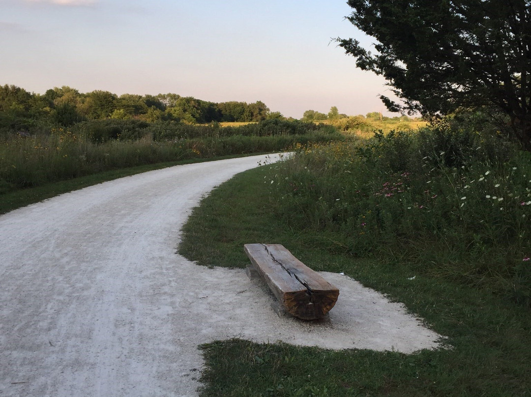 Springbrook Prairie Forest Preserve-内珀维尔必去景点