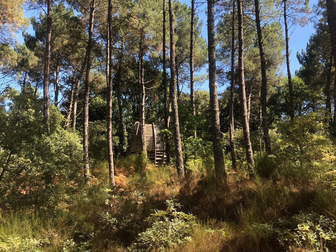 Captieux旅游攻略图片