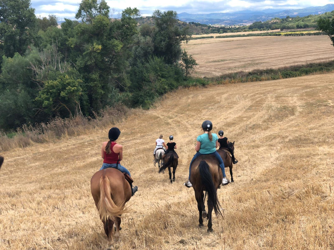 Tuscany Horse Trail景点图片