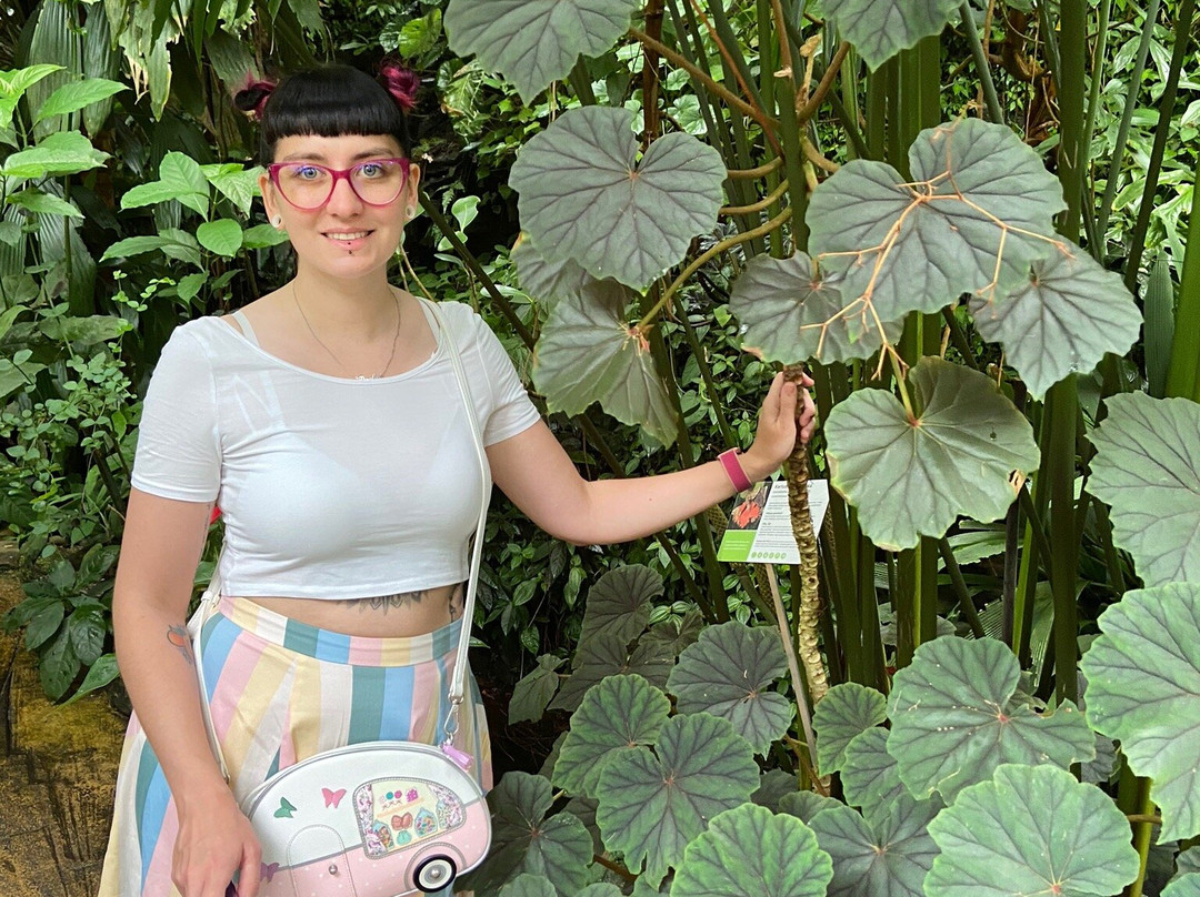 Botanicka zahrada Praha - Tropicky skleník FATAMORGANA景点图片
