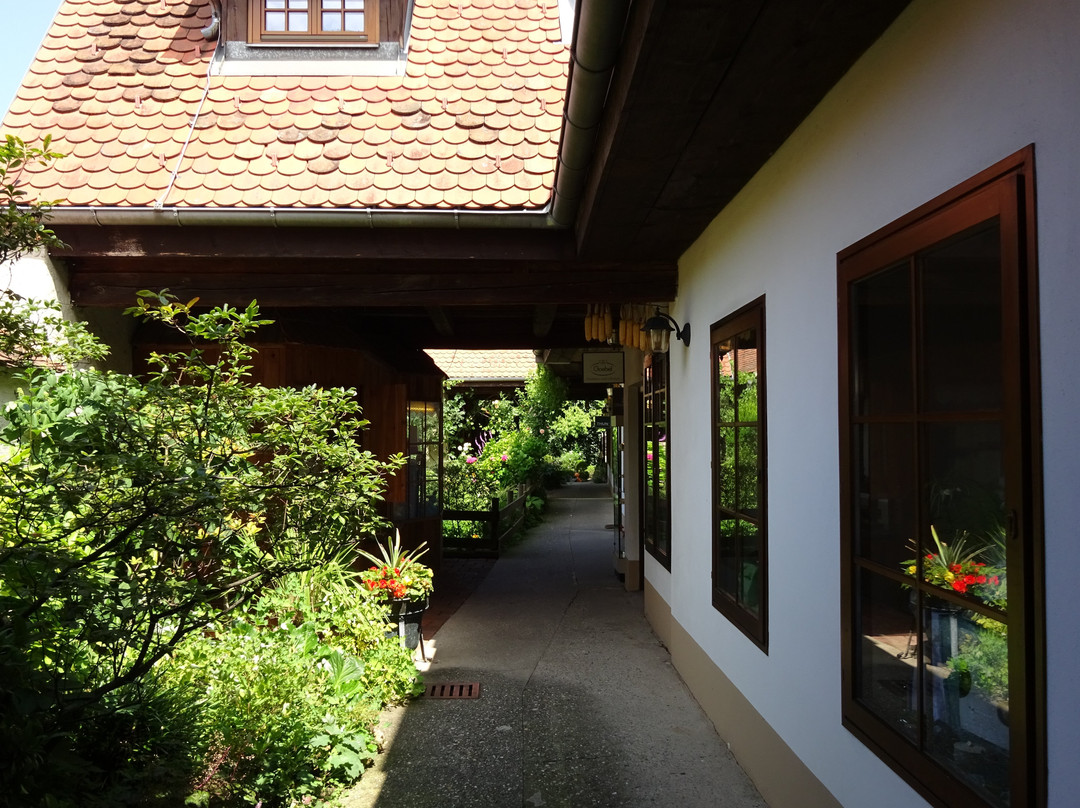Altstadtgasse-费尔德巴赫必去景点