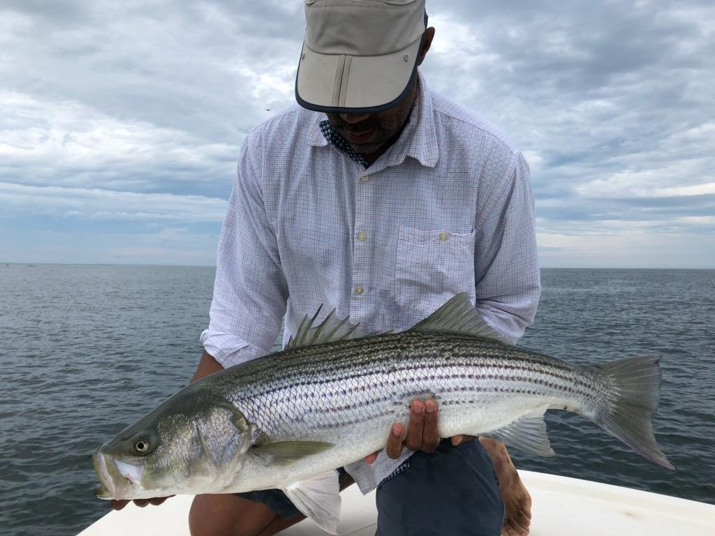 Greasy Beaks Fly Fishing and Boston Fly Fishing-South Hamilton必去景点