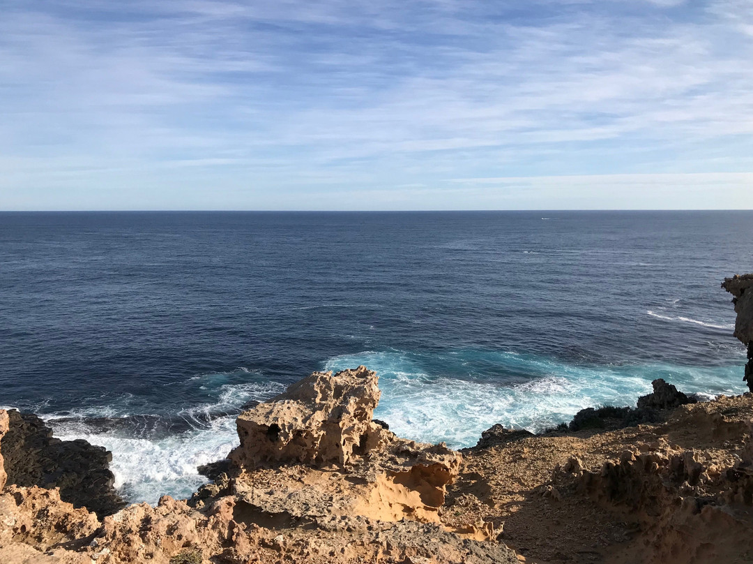 Cape Nelson State Park-波特兰必去景点