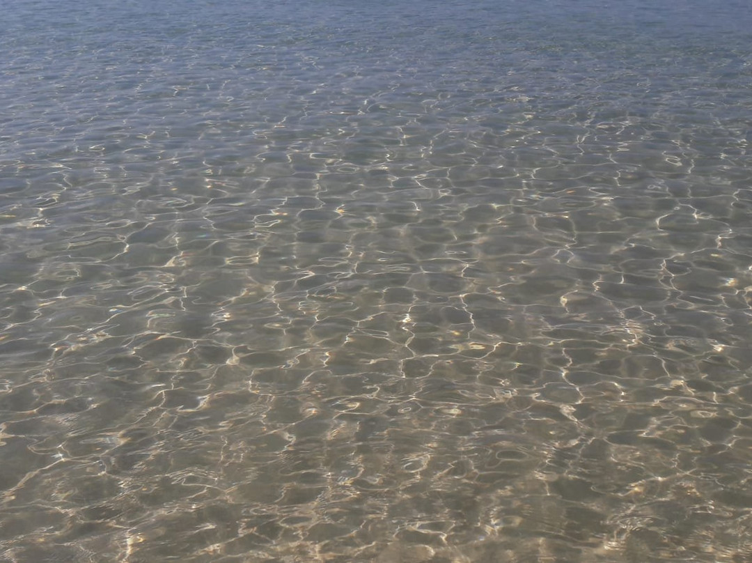 Hotel Gold Beach主图