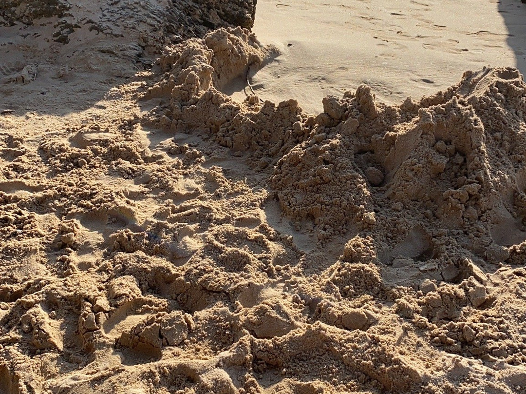 Playa de Roche景点图片